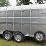 NUGENT TRAILER IHR CENTRUM FÜR VIEHANHÄNGER - Bild 4