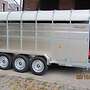 NUGENT TRAILER IHR CENTRUM FÜR VIEHANHÄNGER - Bild 6