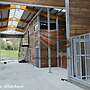 Pferdestall kaufen & Aussenboxen - Pferdeunterstand und Offenstall, Weidehütten | Stallungen & Futterraufen für optimale Pferdefütterung | Top Pferdeboxen - Bild 46