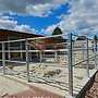 Aussenboxen & Pferdestall bauen Top - Pferdebox, Offenstall, Weidehütten & Pferdeunterstand | Stallungen, Futterraufen & Heuraufe - Bild 57