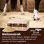 Pferdeeinstreu aus Weizenstroh - Bild 2
