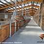 Aussenboxen & Pferdestall bauen und Offenstall kaufen, Weidehütten & Pferdeunterstand | Pferdebox Top - Futterraufen & Heuraufe für Pferde - Bild 43